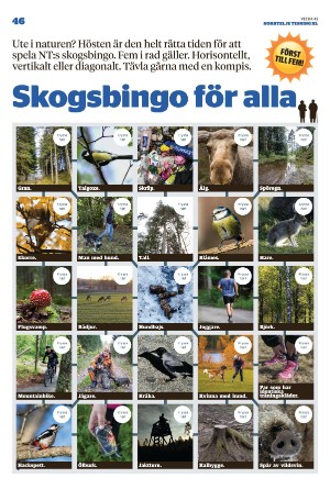 norrteljetidning_xl-20221027_000_00_00_046.pdf