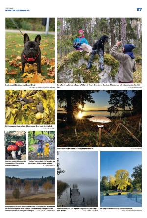 norrteljetidning_xl-20221124_000_00_00_027.pdf