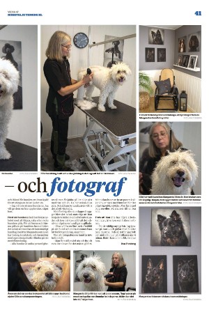 norrteljetidning_xl-20221124_000_00_00_041.pdf