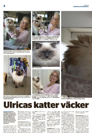 norrteljetidning_xl-20221208_000_00_00_004.pdf