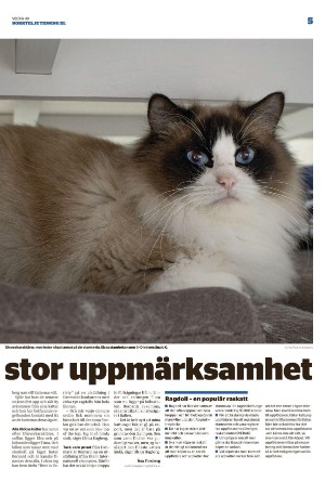 norrteljetidning_xl-20221208_000_00_00_005.pdf