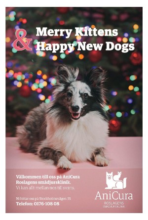 norrteljetidning_xl-20221208_000_00_00_017.pdf