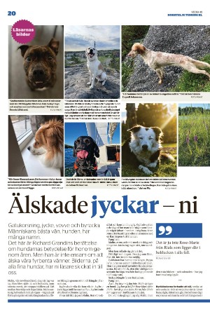 norrteljetidning_xl-20221208_000_00_00_020.pdf