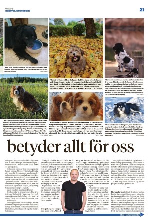 norrteljetidning_xl-20221208_000_00_00_021.pdf
