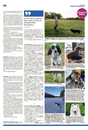 norrteljetidning_xl-20221208_000_00_00_022.pdf