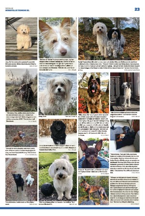 norrteljetidning_xl-20221208_000_00_00_023.pdf