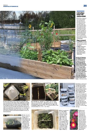 norrteljetidning_xl-20230223_000_00_00_025.pdf