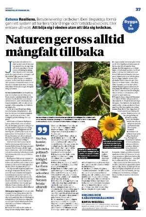 norrteljetidning_xl-20230427_000_00_00_037.pdf