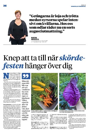 norrteljetidning_xl-20230824_000_00_00_036.pdf