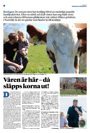 norrteljetidning_xl-20240425_000_00_00_008.pdf