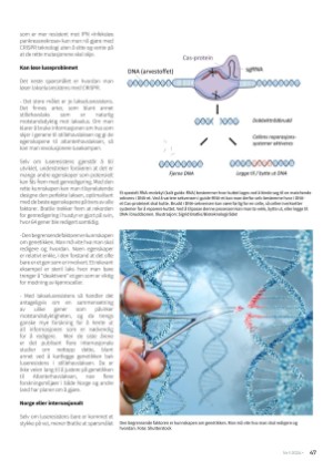 norskfiskeoppdrett-20240117_001_00_00_047.pdf