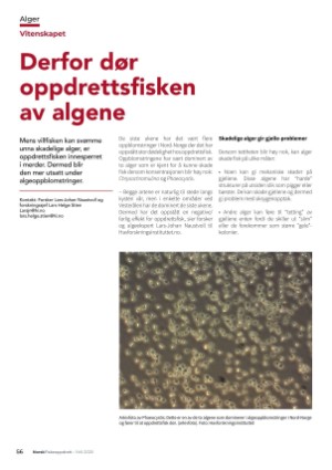 norskfiskeoppdrett-20250527_005_00_00_056.pdf