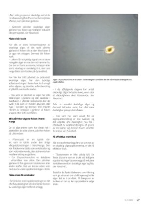 norskfiskeoppdrett-20250527_005_00_00_057.pdf