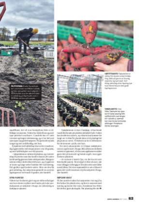 norsklandbruk-20250410_000_00_00_063.pdf