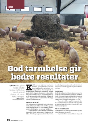 norsklandbruk-20250410_000_00_00_066.pdf