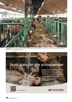 norsklandbruk-20250410_000_00_00_072.pdf