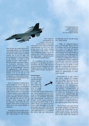 norskmilitarttidsskrift-20080801_004_00_00_019.pdf