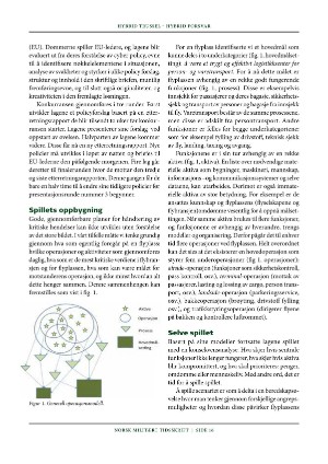 norskmilitarttidsskrift-20181101_004_00_00_016.pdf