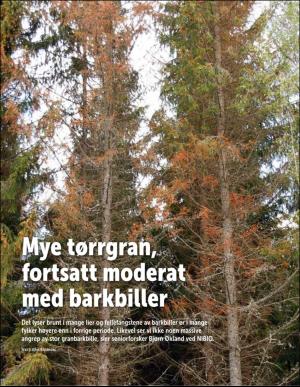 norskskogbruk-20190828_000_00_00_016.pdf