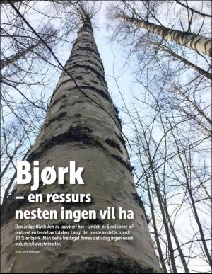 norskskogbruk-20190925_000_00_00_020.pdf