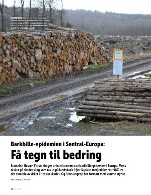 norskskogbruk-20201125_000_00_00_030.pdf