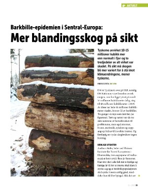 norskskogbruk-20201125_000_00_00_033.pdf