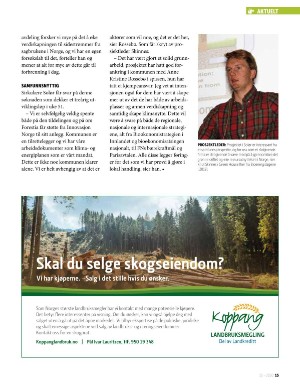 norskskogbruk-20201215_000_00_00_015.pdf