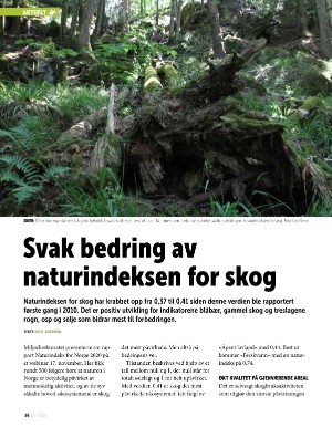 norskskogbruk-20201215_000_00_00_026.pdf