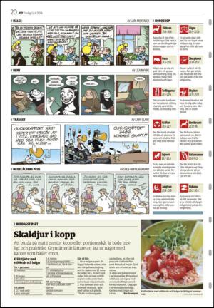 nyaludvikatidning-20140701_000_00_00_020.pdf