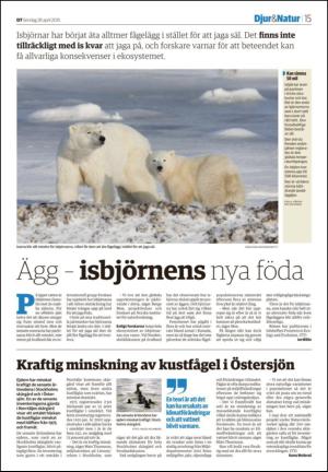 nyaludvikatidning-20150426_000_00_00_015.pdf