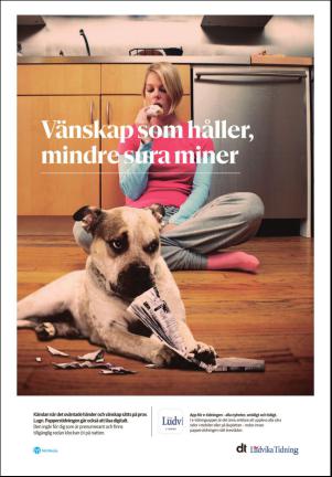 nyaludvikatidning-20170103_000_00_00_003.pdf