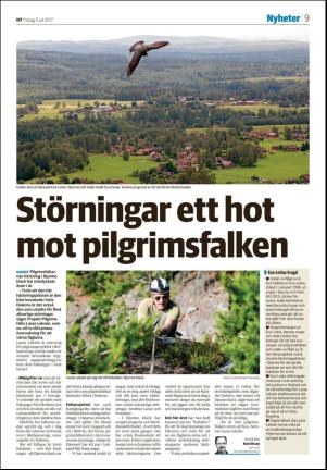 nyaludvikatidning-20170711_000_00_00_009.pdf