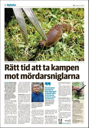 nyaludvikatidning-20180519_000_00_00_008.pdf