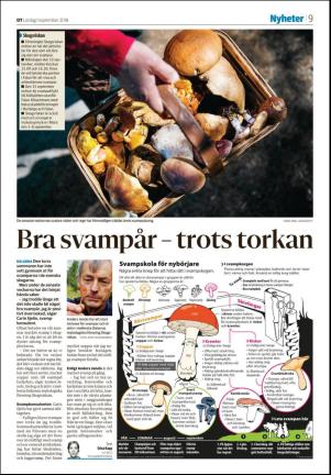 nyaludvikatidning-20180901_000_00_00_009.pdf