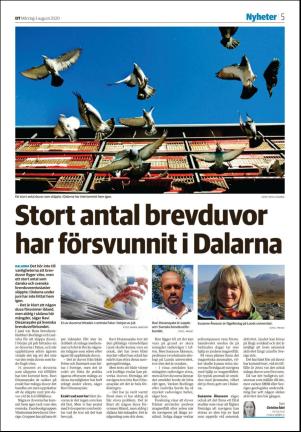 nyaludvikatidning-20200803_000_00_00_005.pdf