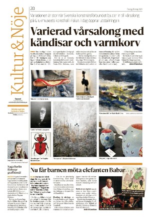 nyaludvikatidning-20210525_000_00_00_020.pdf