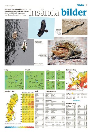 nyaludvikatidning-20210525_000_00_00_031.pdf