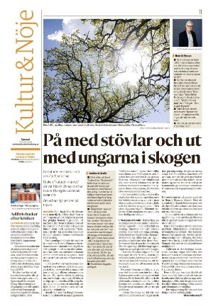 nyaludvikatidning-20210810_000_00_00_011.pdf