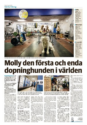 nyaludvikatidning-20210810_000_00_00_024.pdf