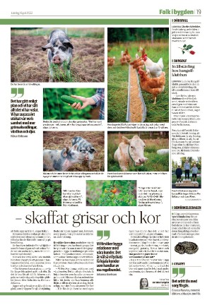 nyaludvikatidning-20220716_000_00_00_019.pdf