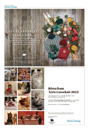 nyaludvikatidning-20221201_000_00_00_032.pdf