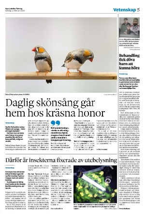 nyaludvikatidning-20240211_000_00_00_005.pdf