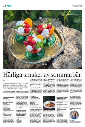 nyaludvikatidning-20250706_000_00_00_012.pdf