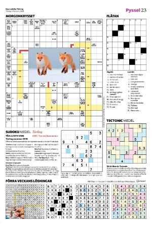 nyaludvikatidning-20260203_000_00_00_023.pdf