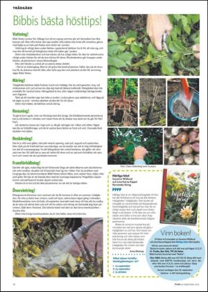 nyaludvikatidning_bilag-20120922_000_00_00_010.pdf