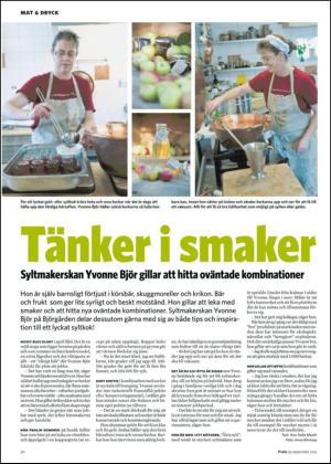 nyaludvikatidning_bilag-20120929_000_00_00_020.pdf