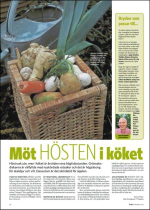 nyaludvikatidning_bilag-20121006_000_00_00_022.pdf