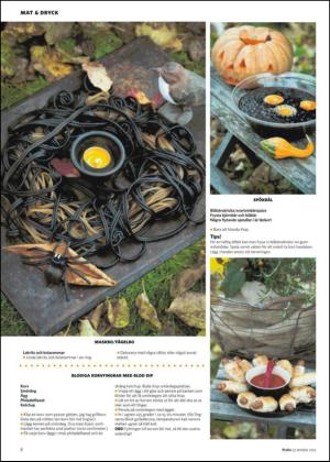nyaludvikatidning_bilag-20121027_000_00_00_008.pdf
