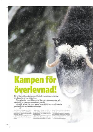 nyaludvikatidning_bilag-20121124_000_00_00_004.pdf