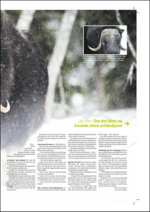 nyaludvikatidning_bilag-20121124_000_00_00_005.pdf